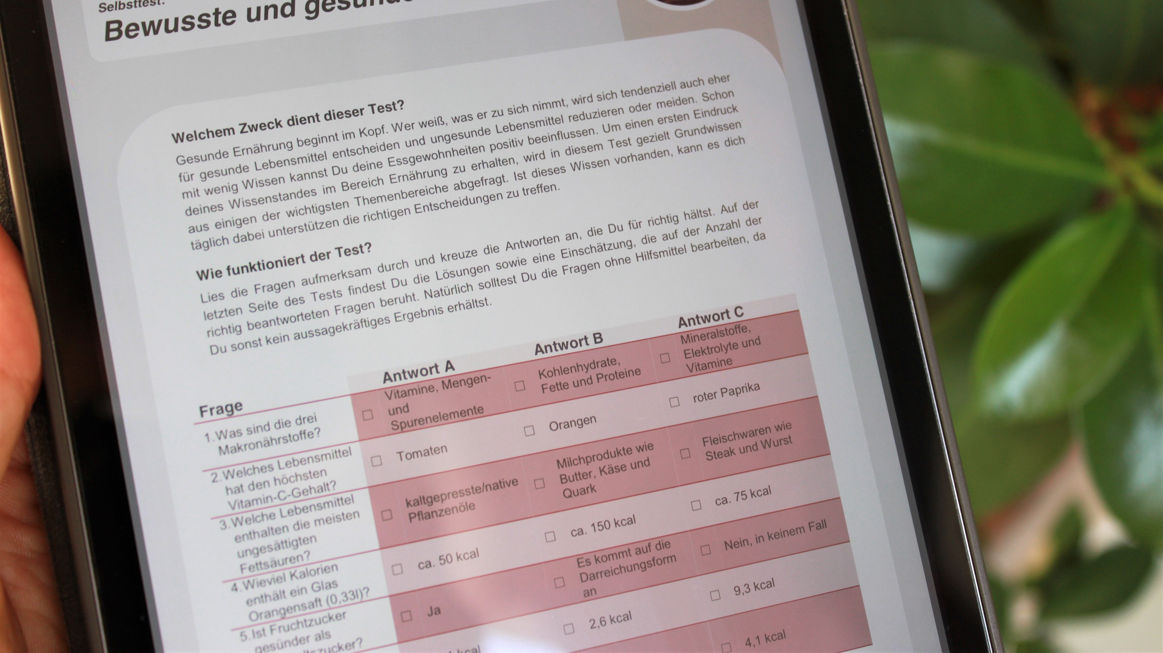 Ernährung-Test-Selbsttest